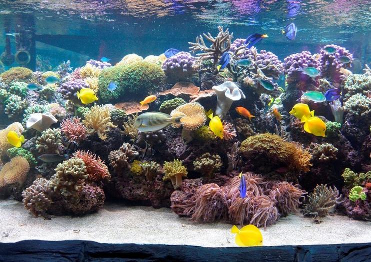 SEA LIFE® Speyer